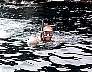 Devils Crown14.jpg